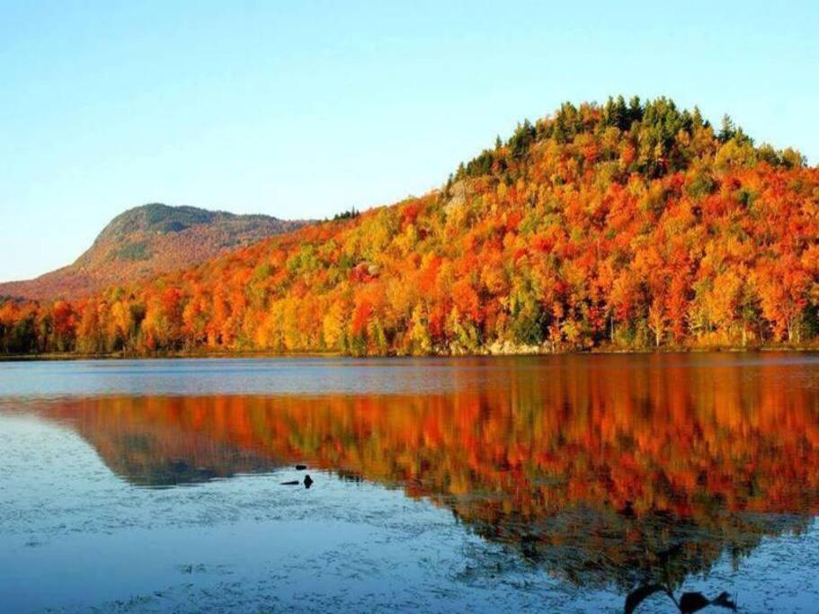 *Nouveauté* Foyer au bois, Plage, Montagne et + Magog Esterno foto